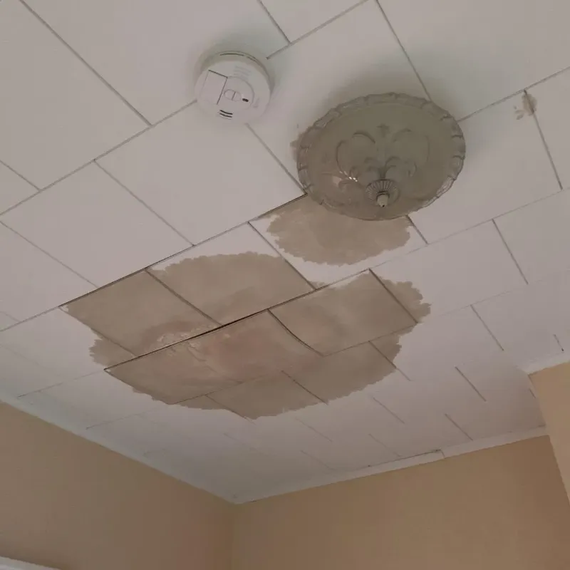 Ceiling Water Damage Repair in Cut Off, LA