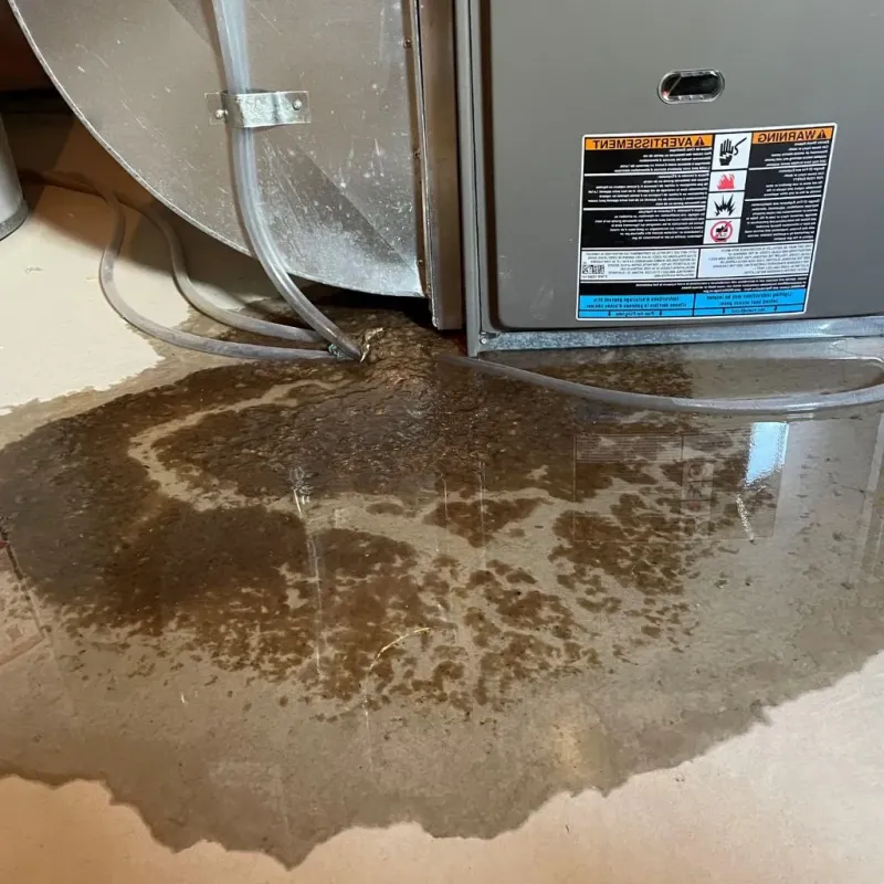 Pipe Burst and Leak Restoration in Cut Off, LA